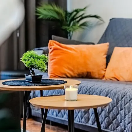 La Plaza تورّيفيِخا